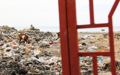 To survive, residents look for contaminated food or objects that can be sold to ensure survival. In activities like this the contamination by the garbage is inevitably. Port-au-Prince, Haiti, 2012.