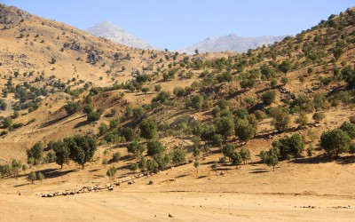 Qandil mountains, Iraq (Iraqi Kurdistan), 2015.